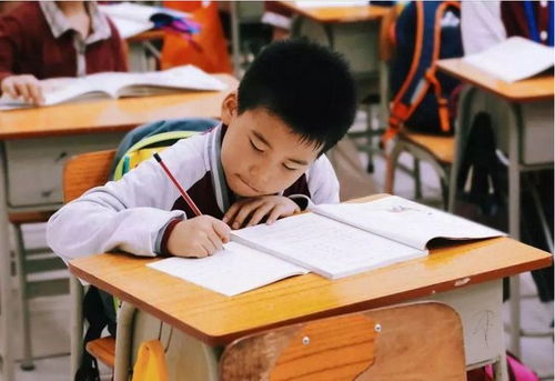 江蘇全面啟動課后服務與家庭教育咨詢，為家長減負解憂